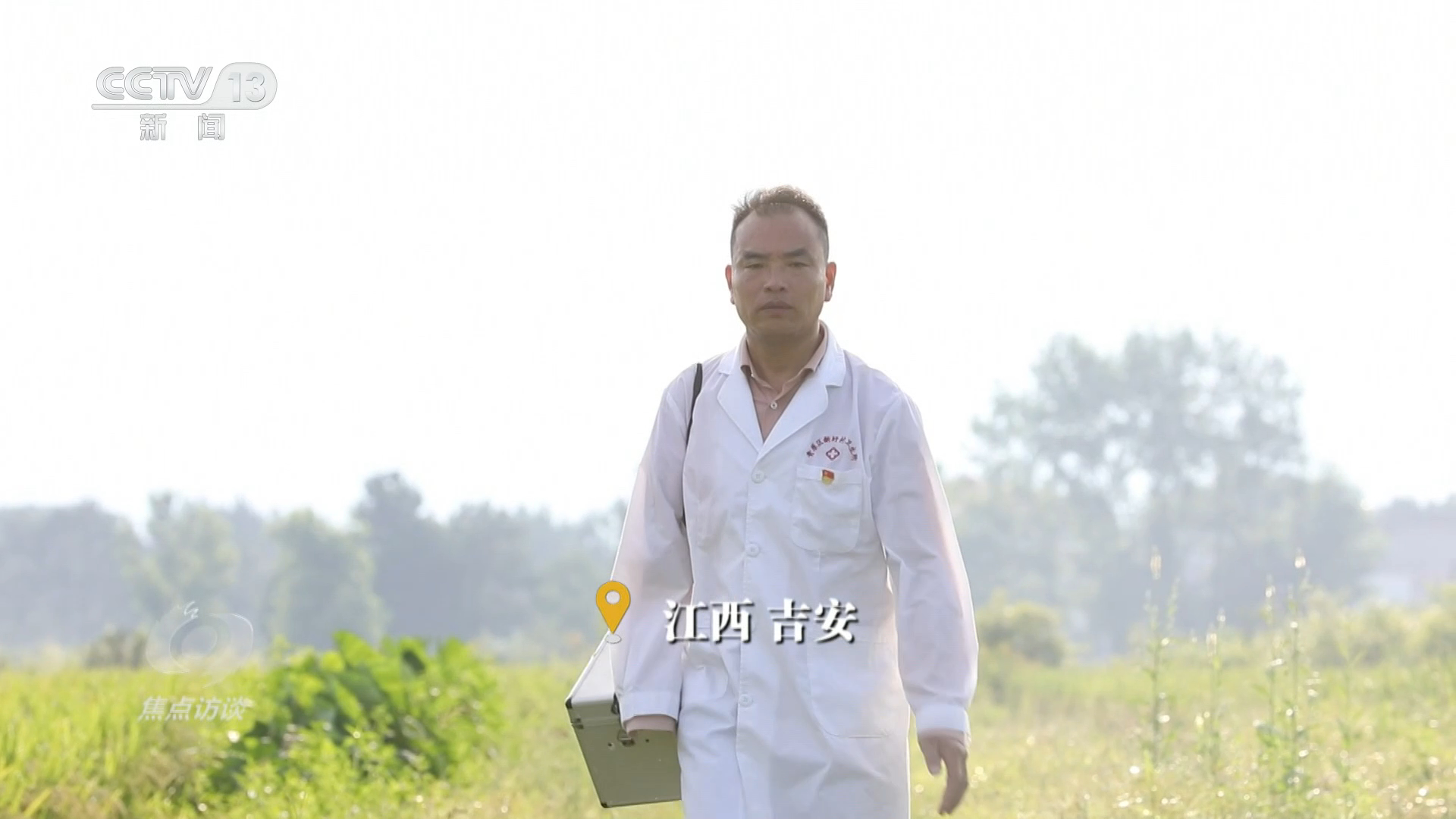 杨幂治好了我的犯错羞耻症