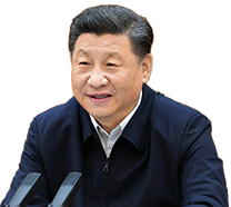 从“到此一游”到沉浸体验,这些地方的文旅为何吸引人?