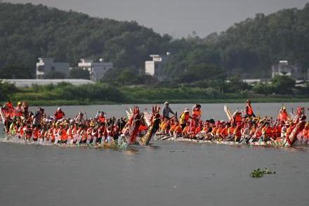 咖香飘四海 侨乡浙江青田咖啡产业提质拓市场