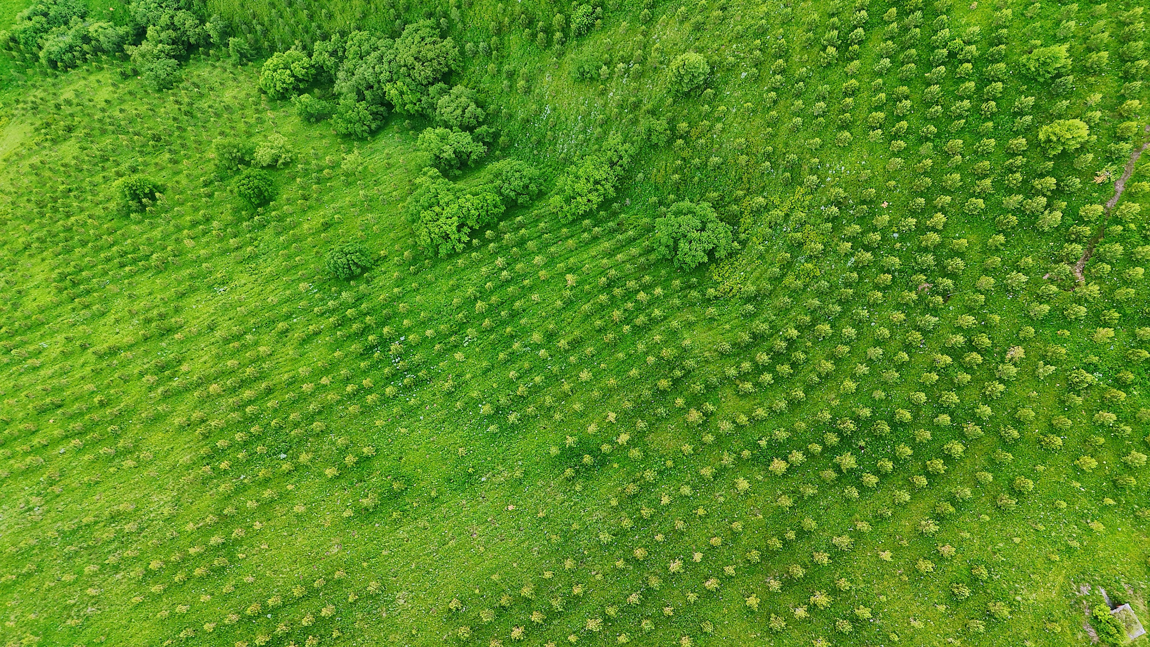 解放军破晓出击现场画面
