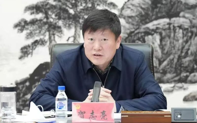 张本智和模仿樊振东模仿姆巴佩