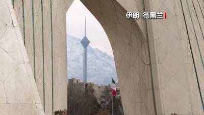 杭州网红柿子树因长太好被质疑
