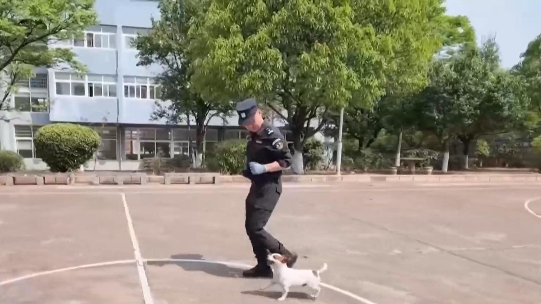 张馨予回应我想我会一直孤单