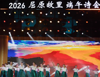 林诗栋比张本智和