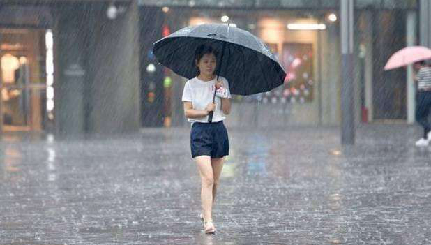 联合国难民署举办研讨会纪念《关于难民地位的公约》通过75周年