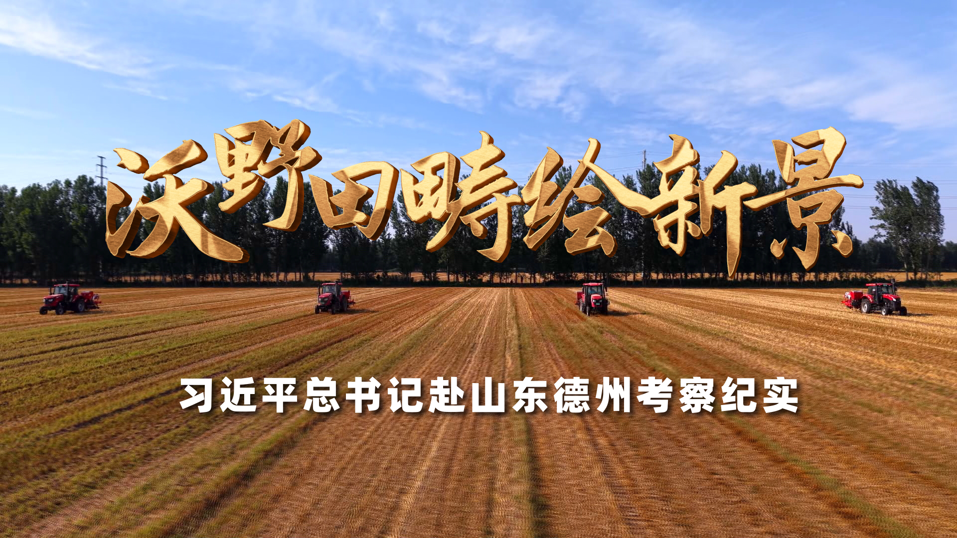 这个周一给我一种无力感