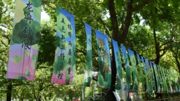 听泉鉴宝被指塌房四大疑问待解