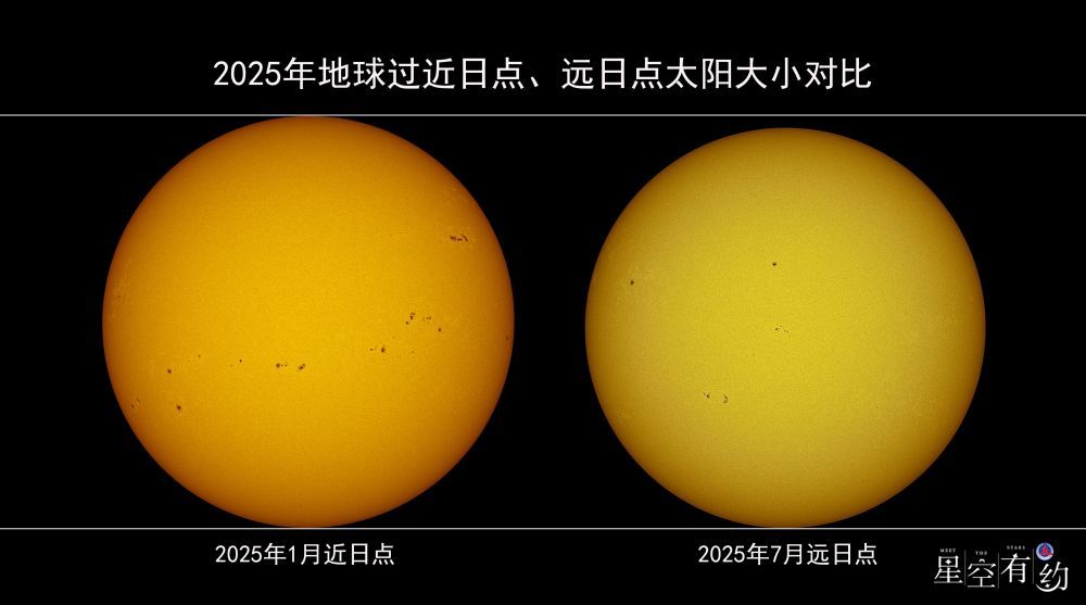夏季蛇类活跃，遇到该怎么办？如果被咬伤要如何处理？
