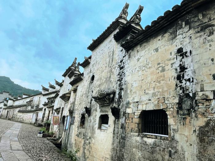 联合国难民署举办研讨会纪念《关于难民地位的公约》通过75周年