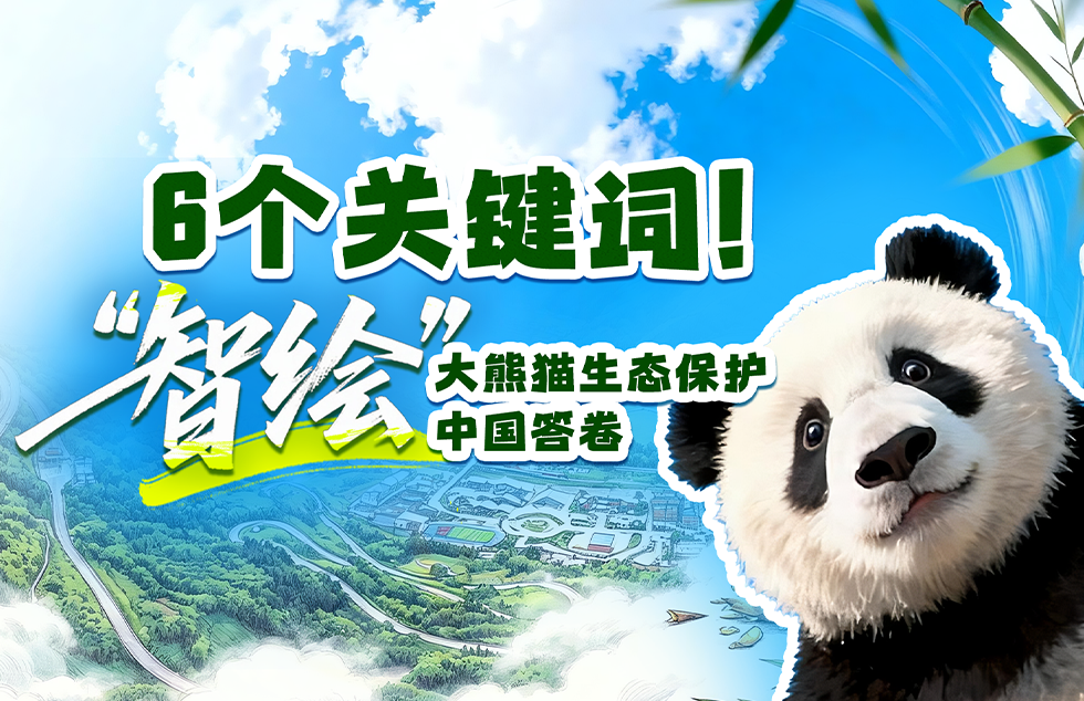 刘诗雯赛前流鼻血天了