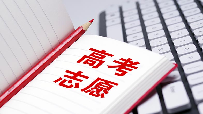 成何体统丞磊王楚然