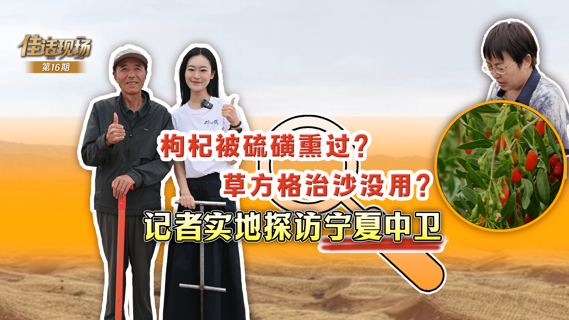 任敏我的互联网新妹宝